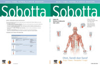 Sobotta buku tabel pembelajaran anatomi: otot, sendi dan saraf